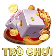 Giấy phép hoạt động hợp pháp f79